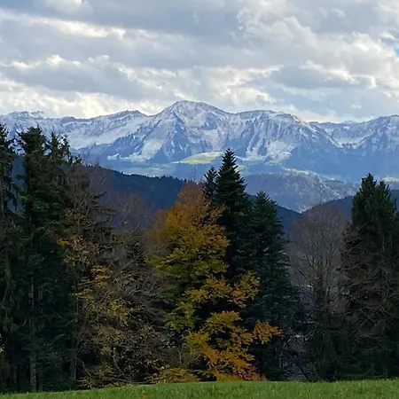 Allgaeu- Mit Hund Oberreute