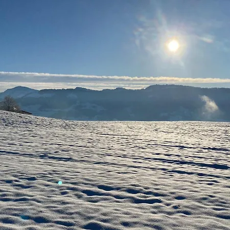 Lägenhet Allgaeu- Mit Hund Oberreute
