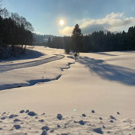 Lägenhet Allgaeu- Mit Hund Oberreute