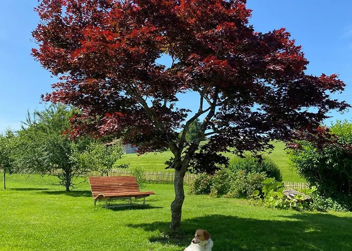 Allgaeu- Mit Hund 아파트