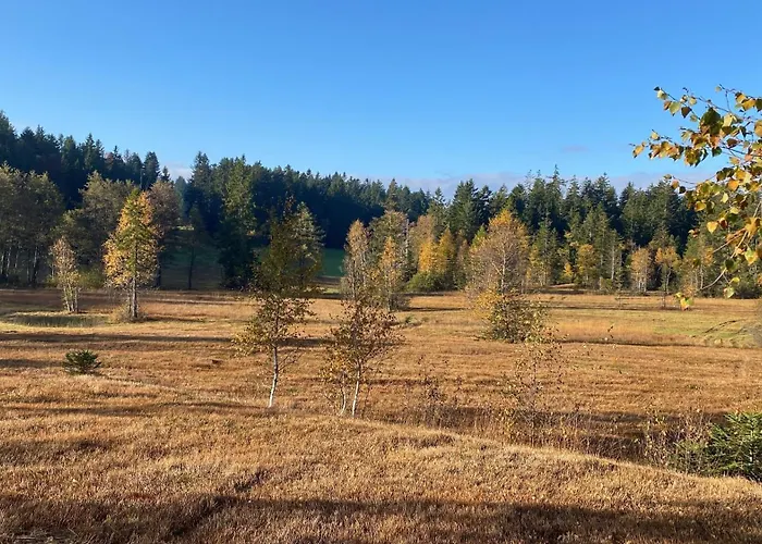 Allgaeu- Mit Hund 아파트 *