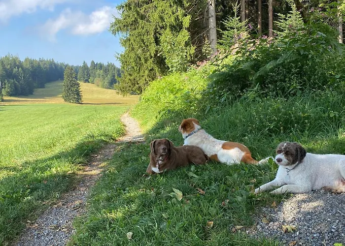 Allgaeu- Mit Hund 아파트 오베로이테