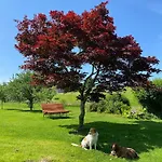 Allgäu- Mit Hund Apartment