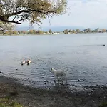Allgäu- Mit Hund Apartment *