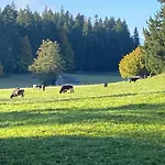 Allgäu- Mit Hund Apartment Oberreute