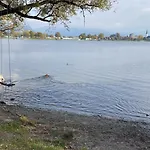 Allgäu- Mit Hund *
