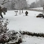 Allgäu- Mit Hund Apartment Oberreute