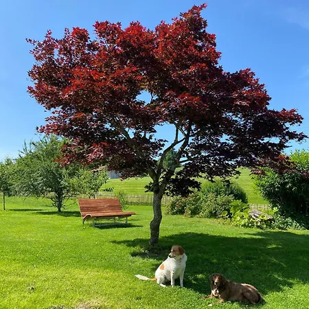 Allgaeu- Mit Hund شقة