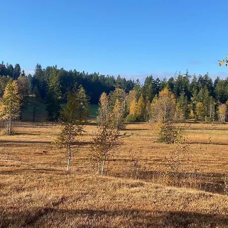 Allgaeu- Mit Hund شقة *