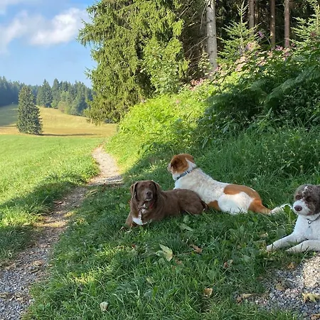 Allgaeu- Mit Hund شقة أوبيريويتي