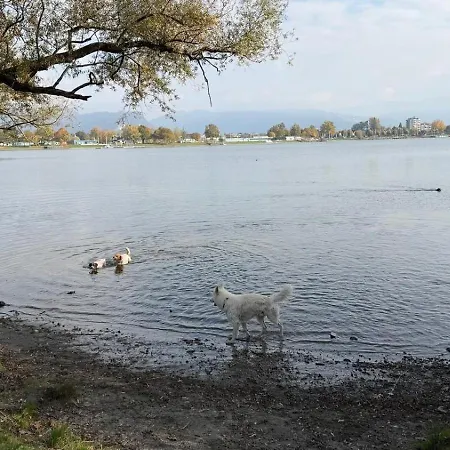 Allgaeu- Mit Hund شقة *
