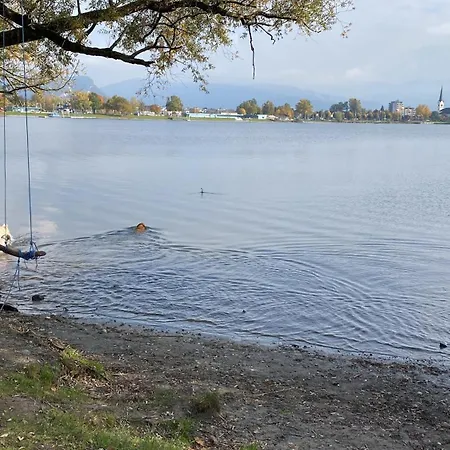 Allgaeu- Mit Hund *