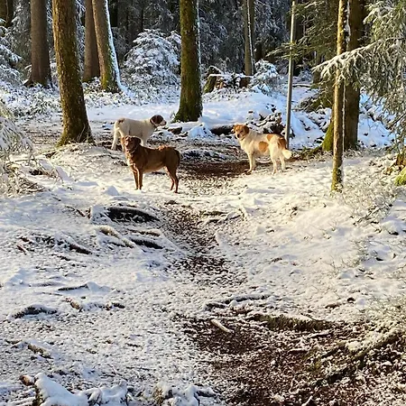 شقة Allgaeu- Mit Hund *