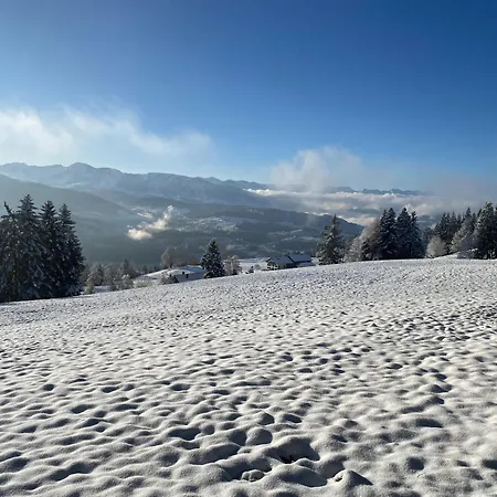 Allgaeu- Mit Hund Apartment Oberreute