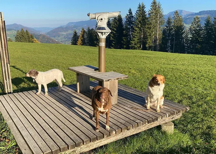 Allgäu- Mit Hund Apartment *