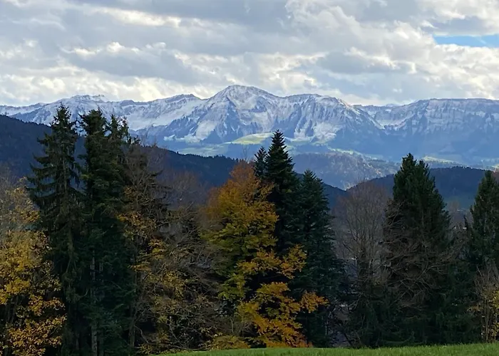 Allgäu- Mit Hund Oberreute